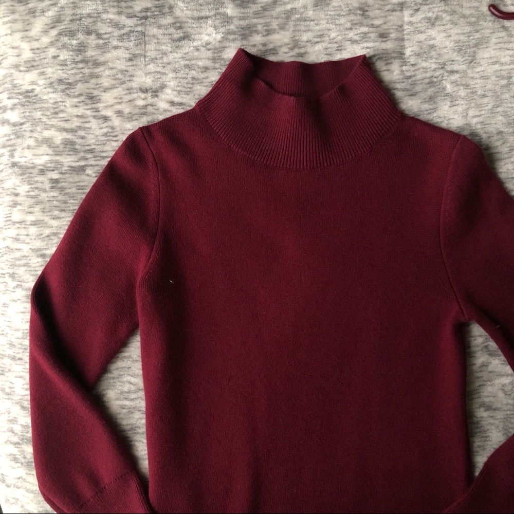 Ann Taylor Mock Neck Sweater Dress in Wine Color